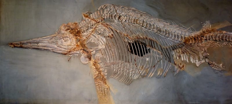 Ichthyosaurs
